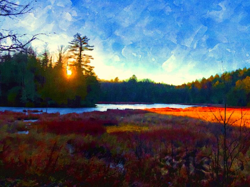 Beaver Pond Northern Vermont