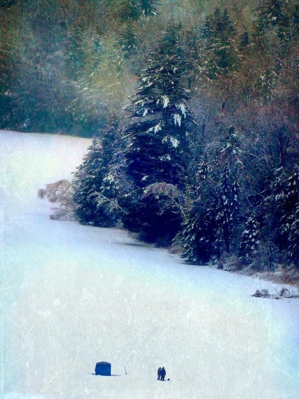 Fishing Near the Shore